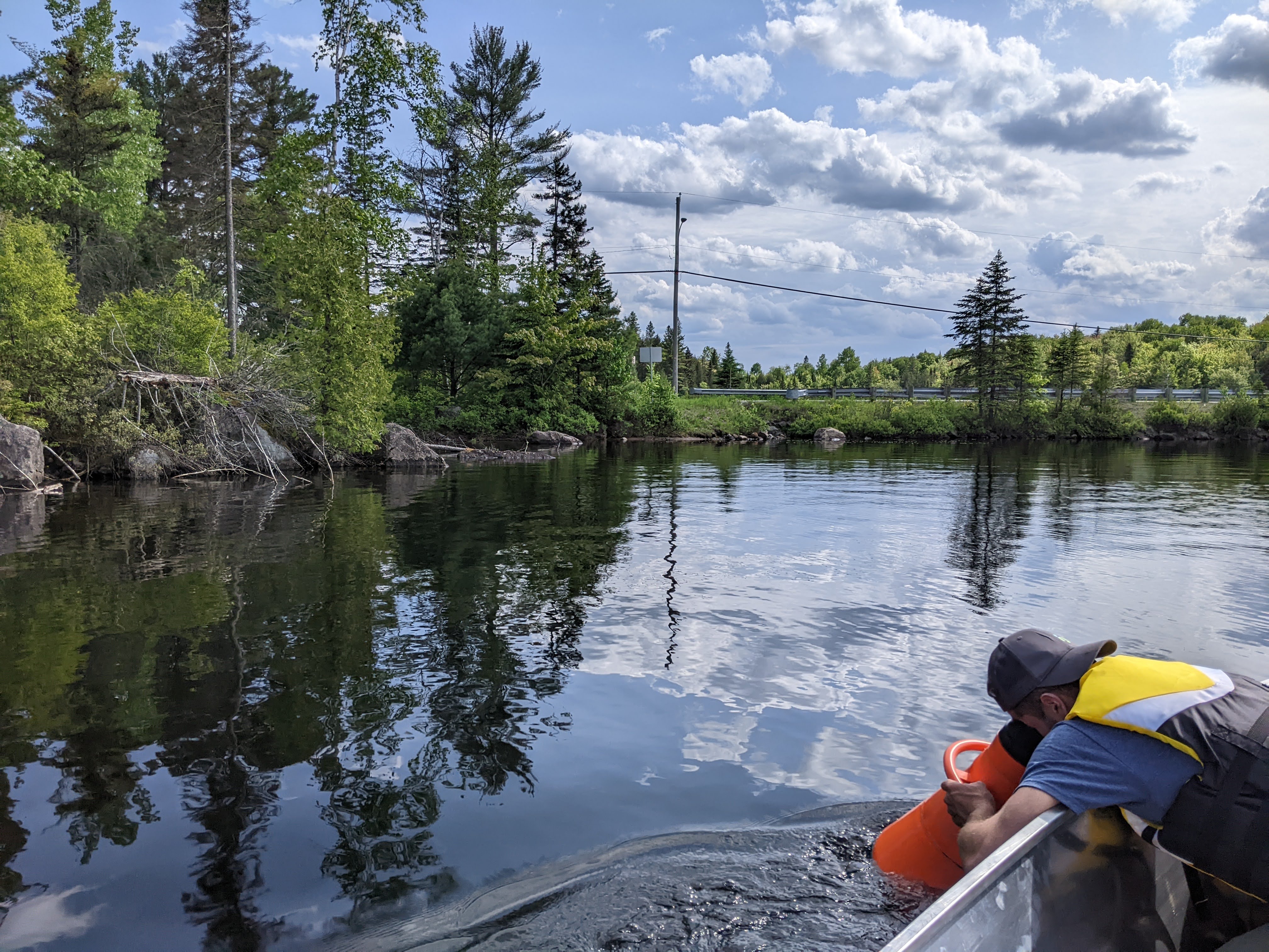 Services de diagnostic - Fyto
